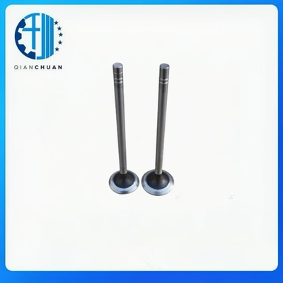 Caterpillar C11 Intake and Exhaust Valve 2243028 for Excavator